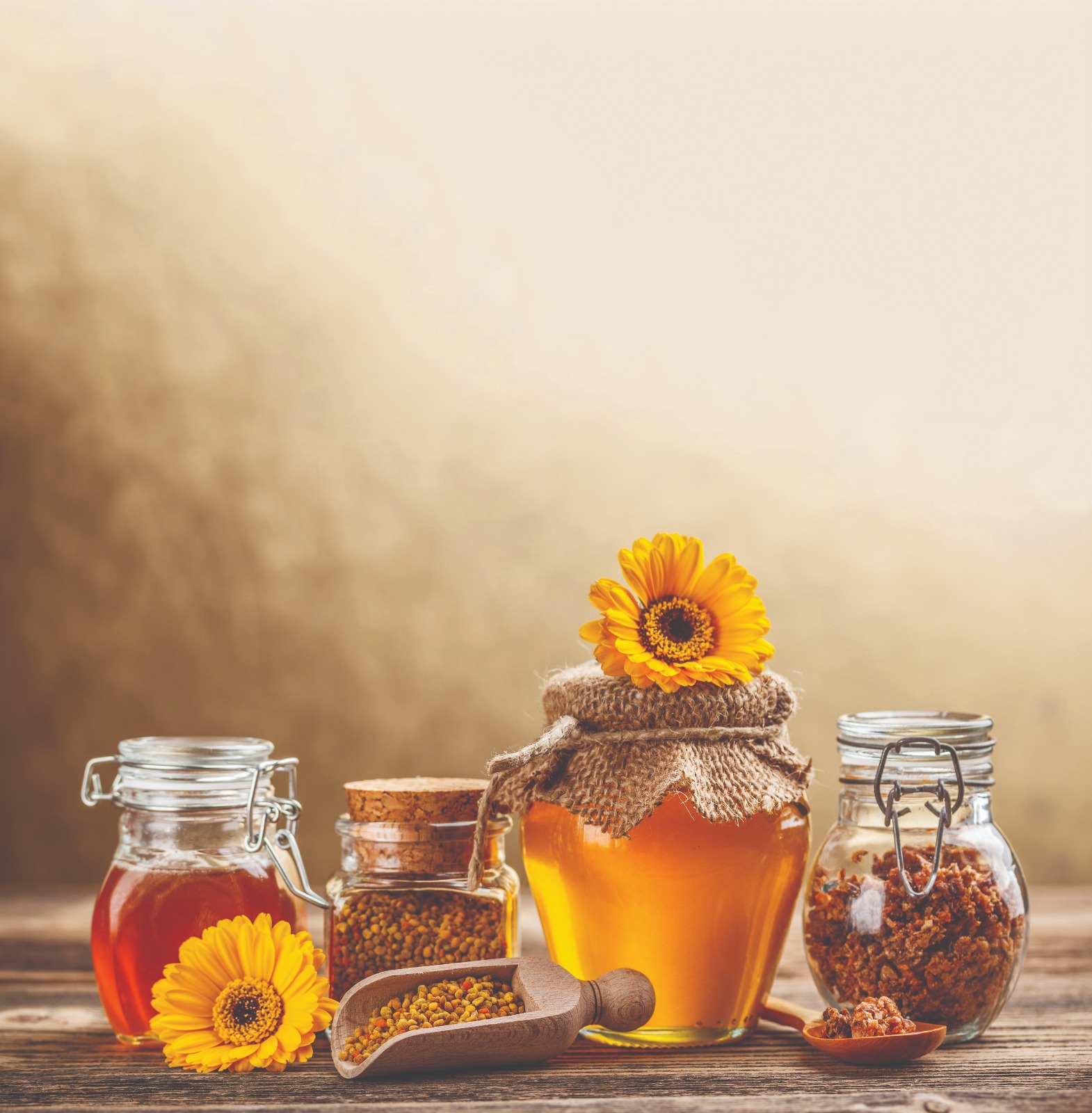 Razne vrste meda za odabir prema potrebama