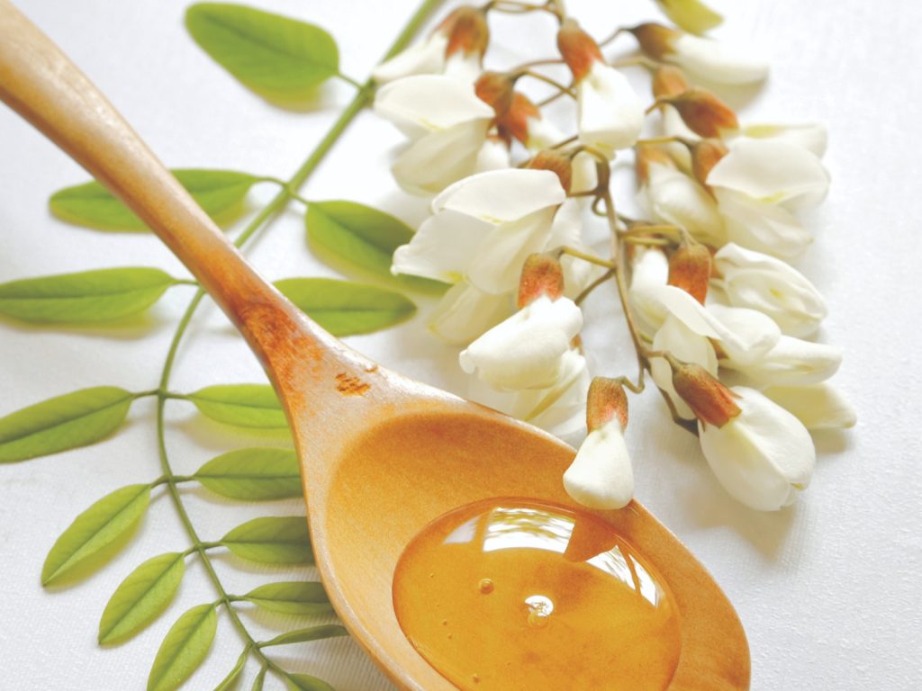 Žlica meda i cvijet bagrema – tema med